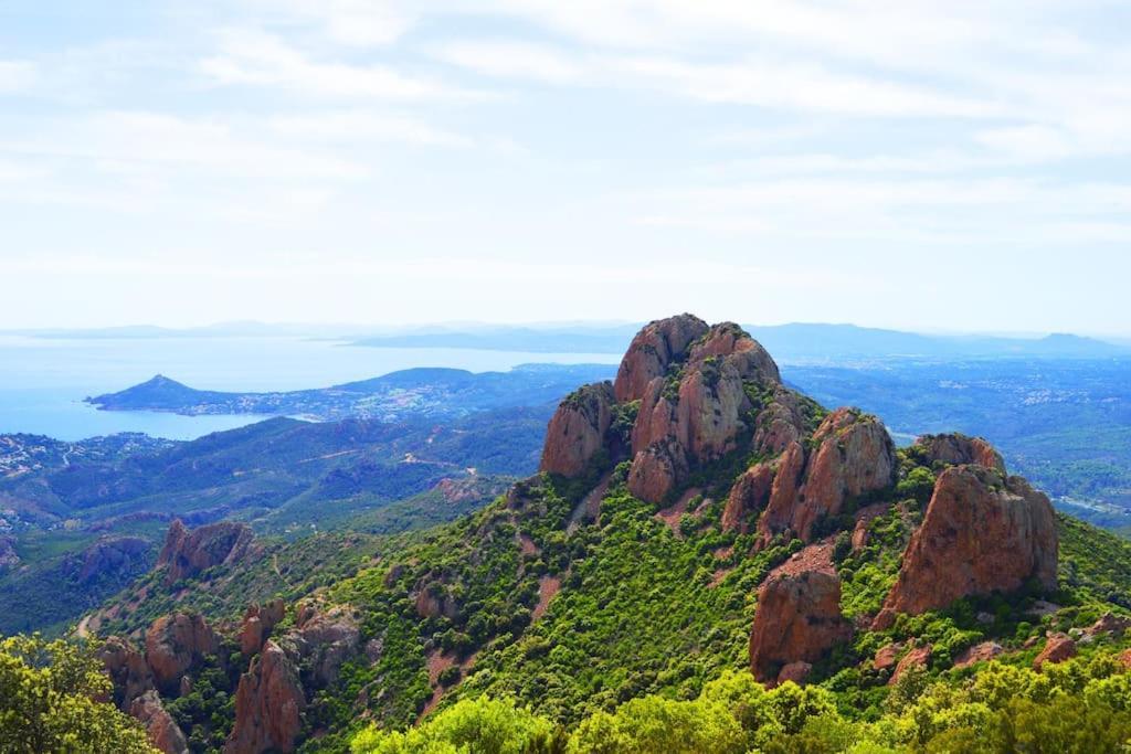 Port-Frejus, Le Paladien, Appartement 2 Pieces Climatise, Terrasse & Parking 外观 照片